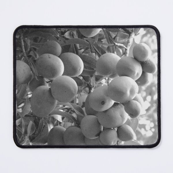 Item preview, Mango Black And White designed and sold by MercerImages.