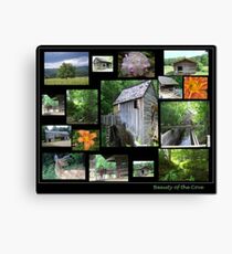 The beauty of the Cove Canvas Print