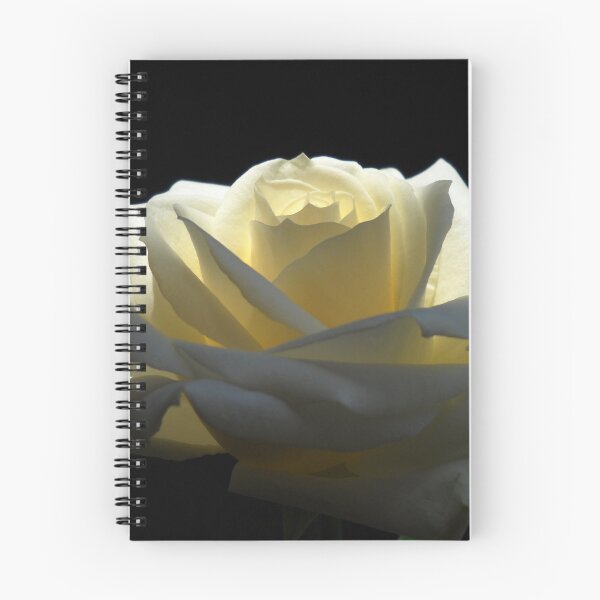 Item preview, Brilliant Rose. designed and sold by Vitta.