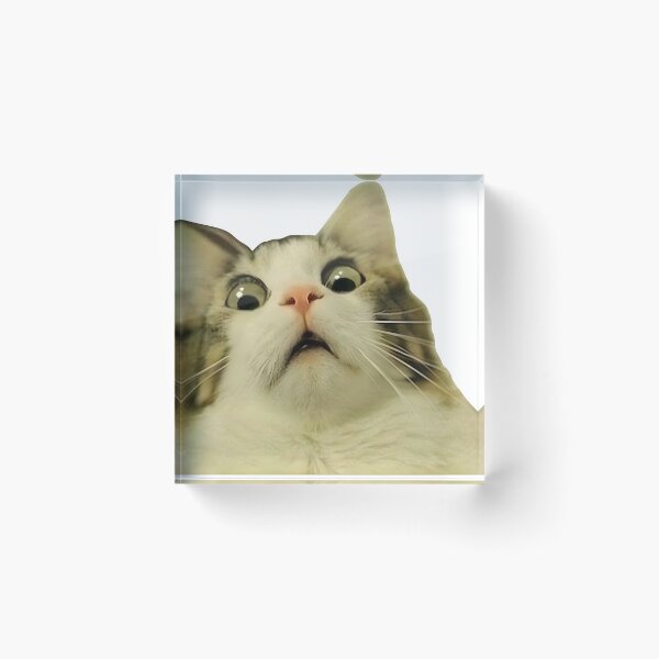 Item preview, Meme Cat - Shocked designed and sold by hiiameartha.