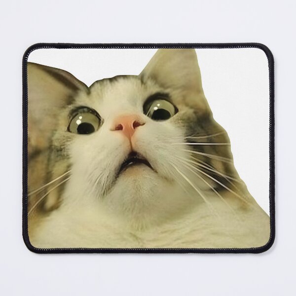 Item preview, Meme Cat - Shocked designed and sold by hiiameartha.