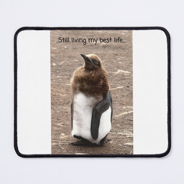 Item preview, King Penguin chick living their best life designed and sold by SBPenguins.