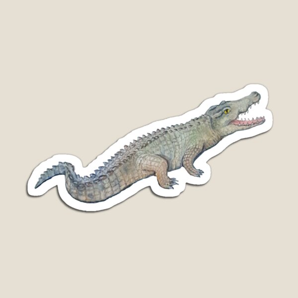 Crocodile Magnet
