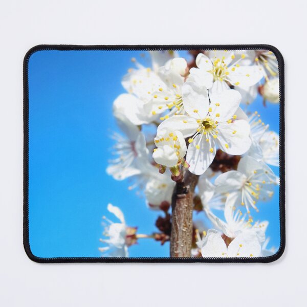 Item preview, Flowers in bloom designed and sold by Vetagio.