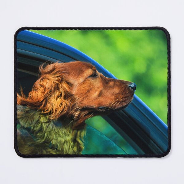 Item preview, Happy Dog Enjoying the Summer Breeze on a Road Trip designed and sold by Taina Sohlman.