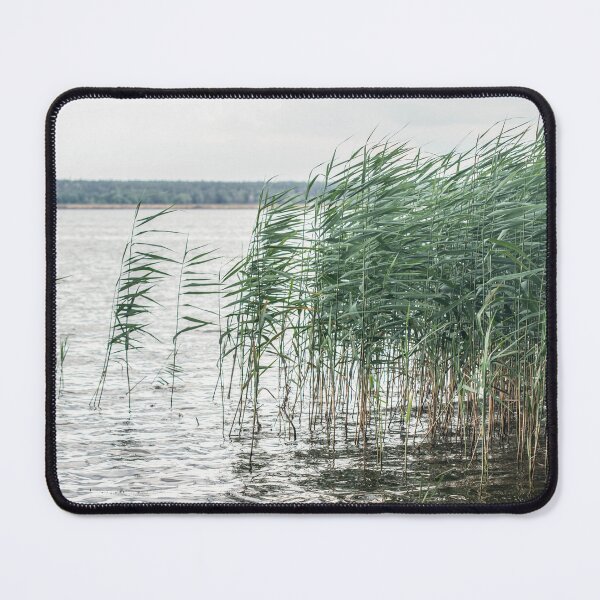 Item preview, Nature of the Vileika Reservoir. Belarus. 1 designed and sold by Dzianis Sharametsyeu.