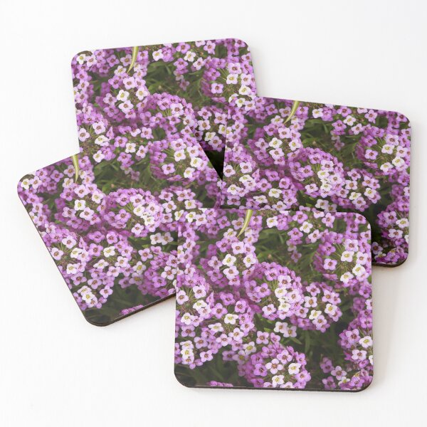Item preview, Purple flowers ... Alyssum designed and sold by Jenny  Dyer.