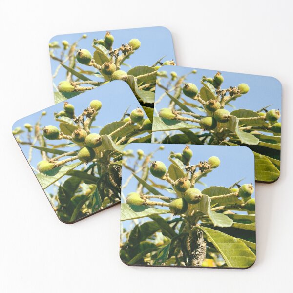 Item preview, Loquats designed and sold by albaboschphoto.
