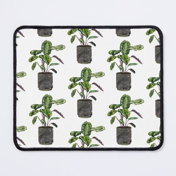 Item preview, Calathea (prayer plant) designed and sold by BabbanGaelg.