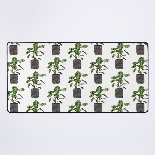 Item preview, Calathea (prayer plant) designed and sold by BabbanGaelg.
