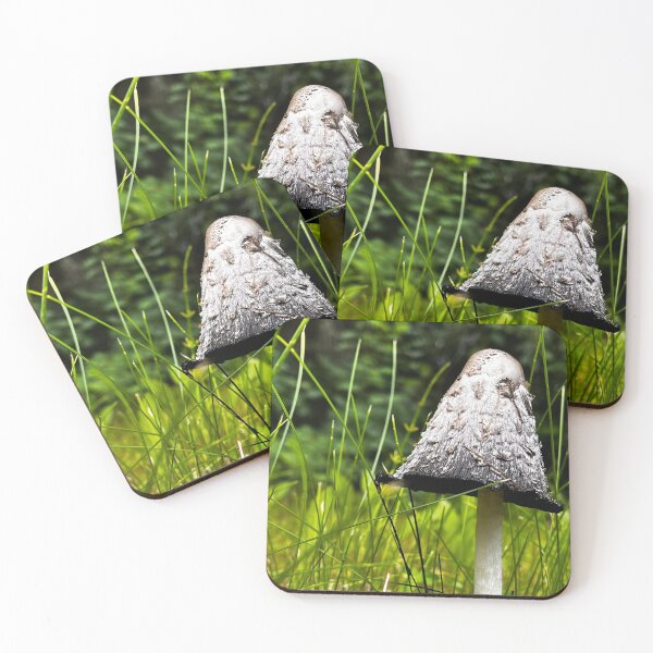 Item preview, Shaggy Ink Cap designed and sold by Dakotaxrene.