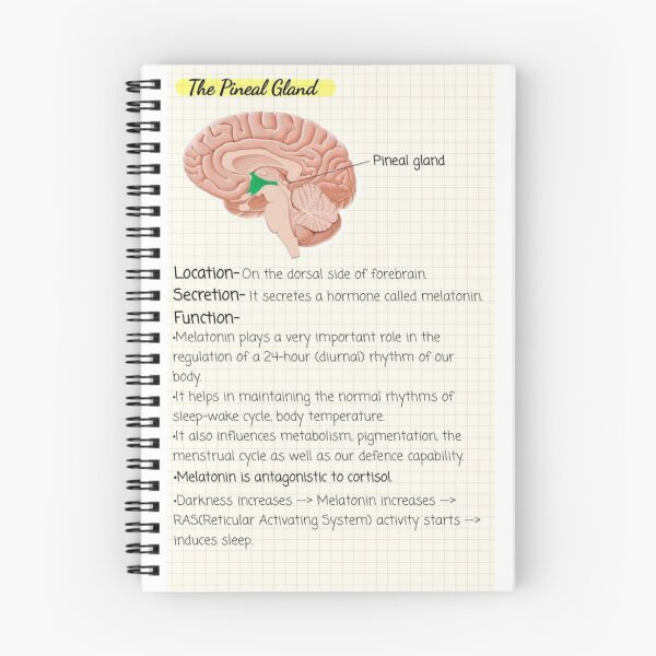 Item preview, The Pineal Gland Knowledge designed and sold by Weird-arts.