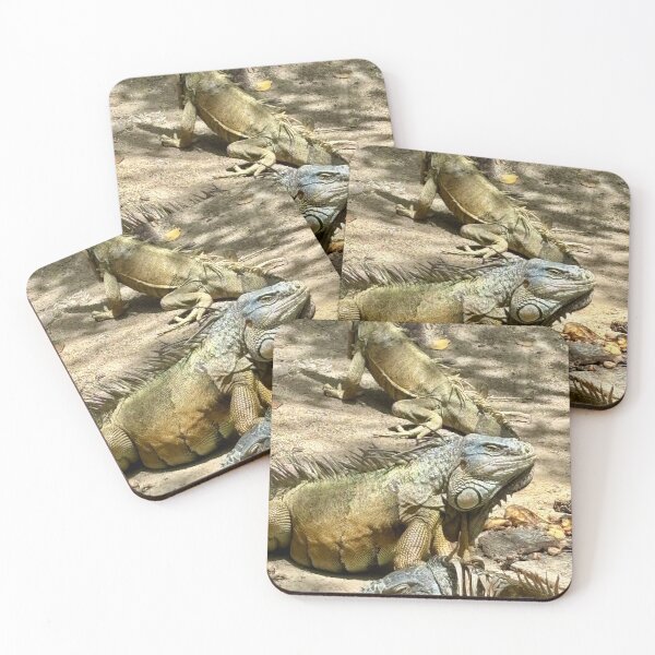 Item preview, Iguanas in San Pedro Belize  designed and sold by thebentknitter.