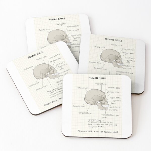 Item preview, Human Skull Knowledge designed and sold by Weird-arts.