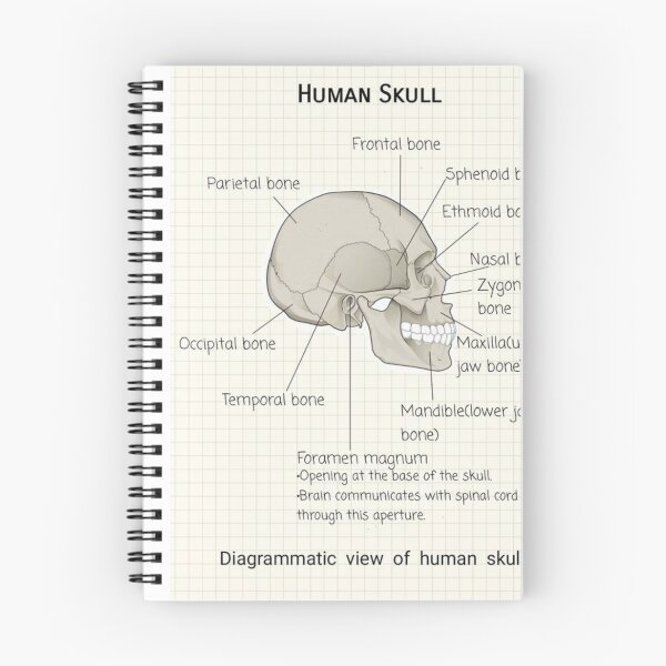 Item preview, Human Skull Knowledge designed and sold by Weird-arts.