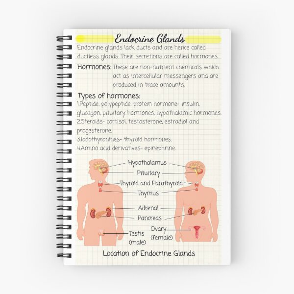 Item preview, Endocrine Glands Knowledge designed and sold by Weird-arts.
