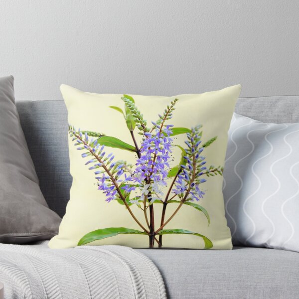 Item preview, Hebe designed and sold by JEZ22.