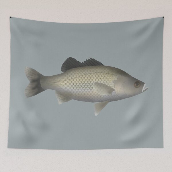 Item preview, Australian Bass designed and sold by fishfolkart.