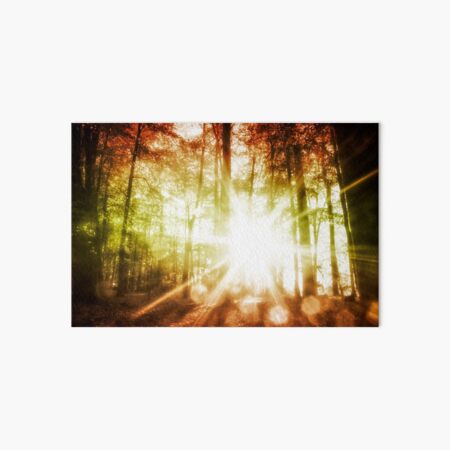 Woodland Sunburst Art Board Print
