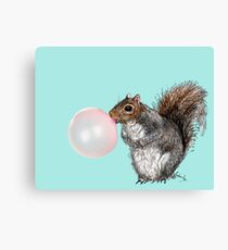 Bubblegum Squirrel Canvas Print