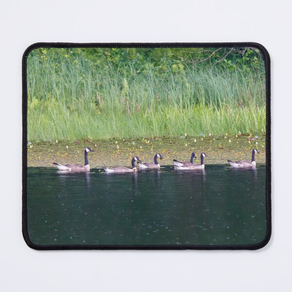 Item preview, By the Shore designed and sold by Tim Dusenberry.