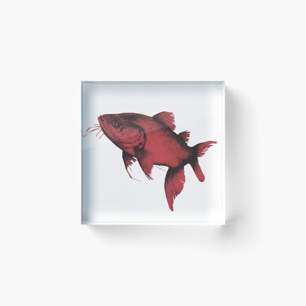 Item preview, Catfish designed and sold by kinpirks.