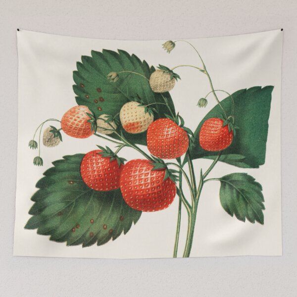 Item preview, Boston Pine Strawberry designed and sold by BlueSpecsStudio.