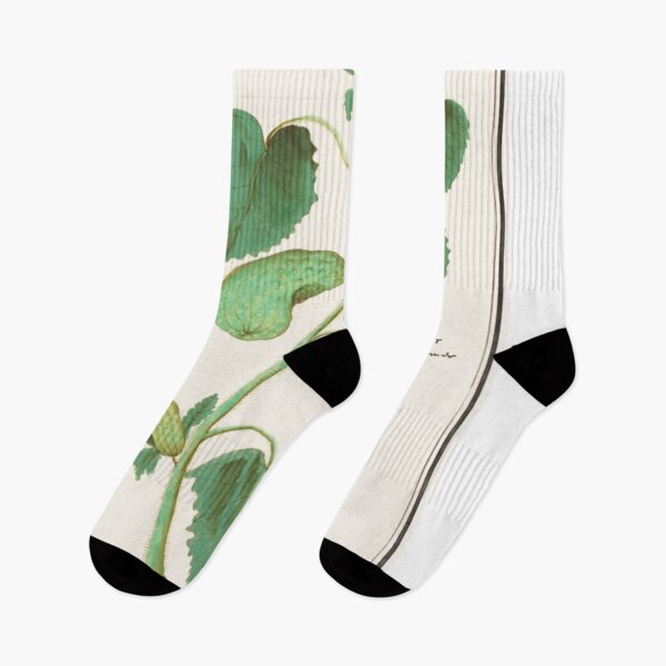 Item preview, Botanical Cucumbers designed and sold by BlueSpecsStudio.
