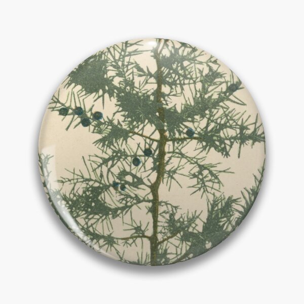 Item preview, Botanical Juniper designed and sold by BlueSpecsStudio.