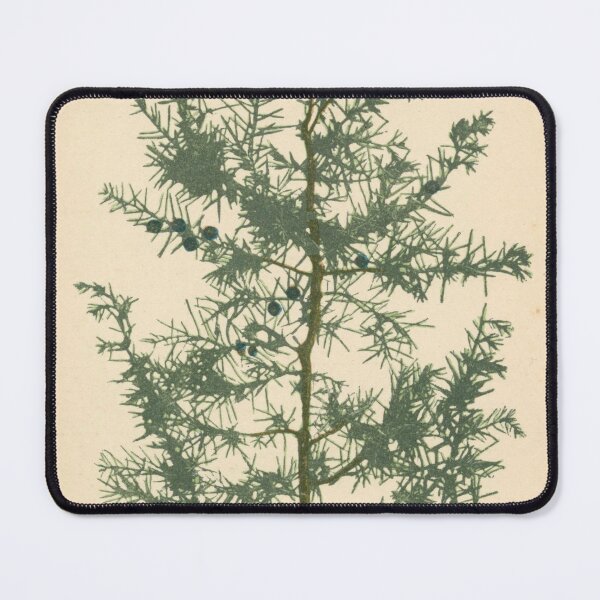 Item preview, Botanical Juniper designed and sold by BlueSpecsStudio.
