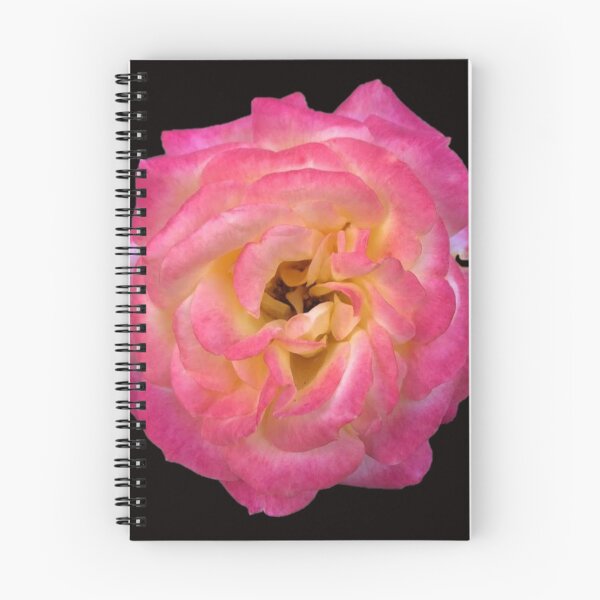Item preview, Rose designed and sold by ascherf.
