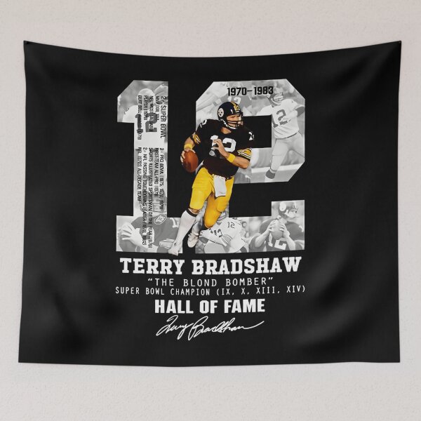 Item preview, Terry Bradshaw The Blond Bomber Hall of fame Ame Signature rugby	 designed and sold by KirimMButler1.