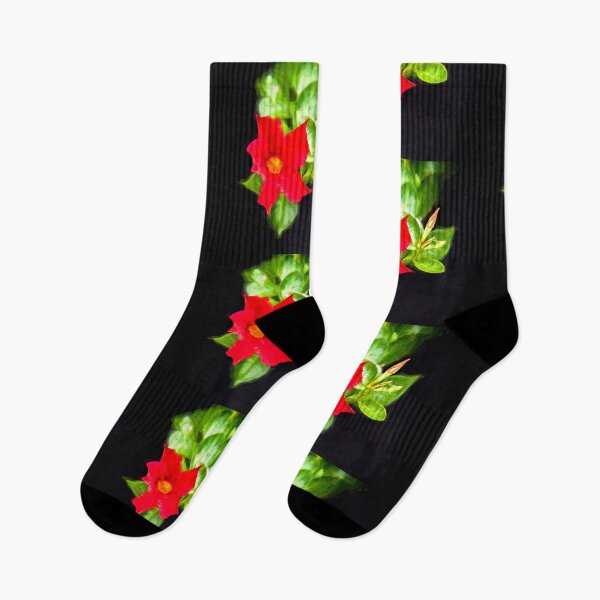 Item preview, Copy of Red Mandevilla Flower Vine X150 designed and sold by RichFrancoCars.