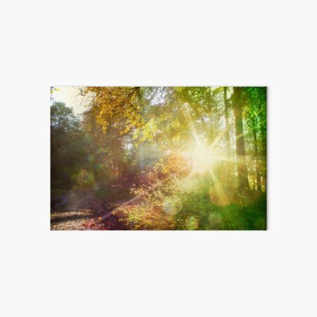 Light the way home Art Board Print