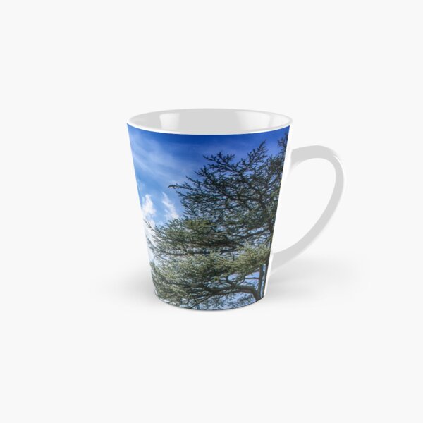 Cedar of Lebanon tree with blue sky Tall Mug