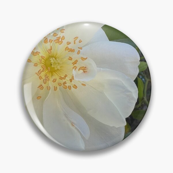 Item preview, White Rose designed and sold by Betsy Phillips.