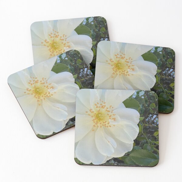 Item preview, White Rose designed and sold by Betsy Phillips.