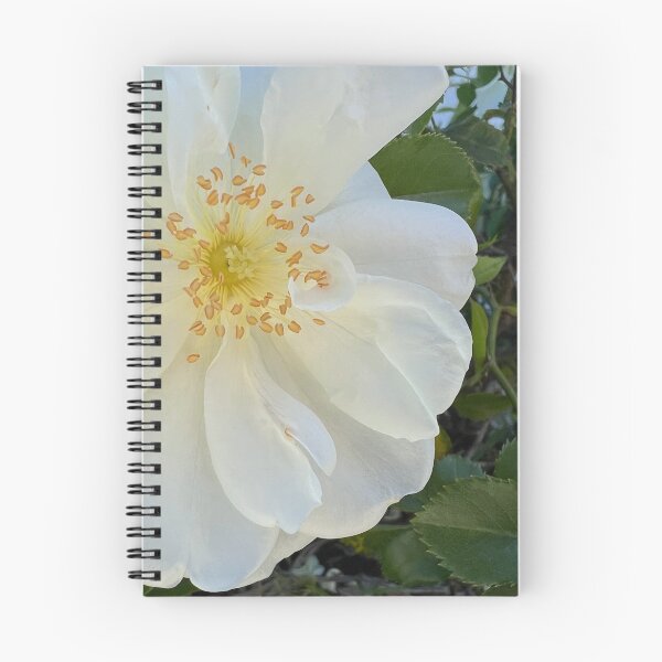 Item preview, White Rose designed and sold by Betsy Phillips.