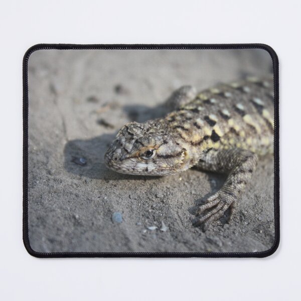 Item preview, A Sceloporus occidentalis. designed and sold by John Jacob Jingleheimer Schmidt.