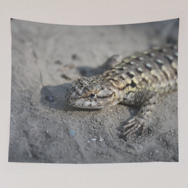Item preview, A Sceloporus occidentalis. designed and sold by John Jacob Jingleheimer Schmidt.