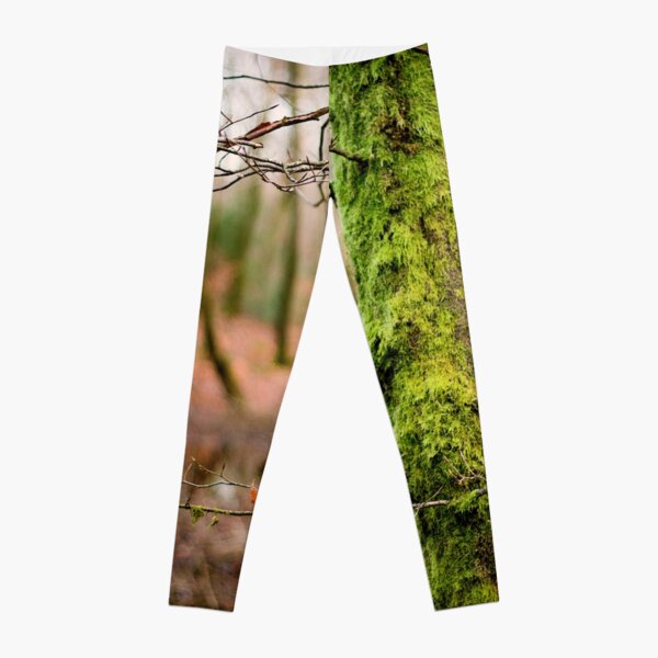 Moss Green Leggings