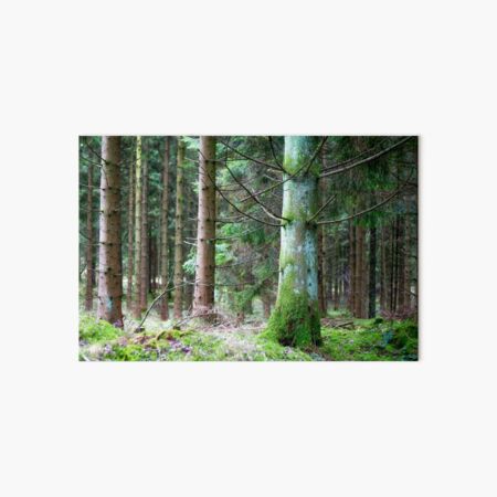 Green of the pine Art Board Print