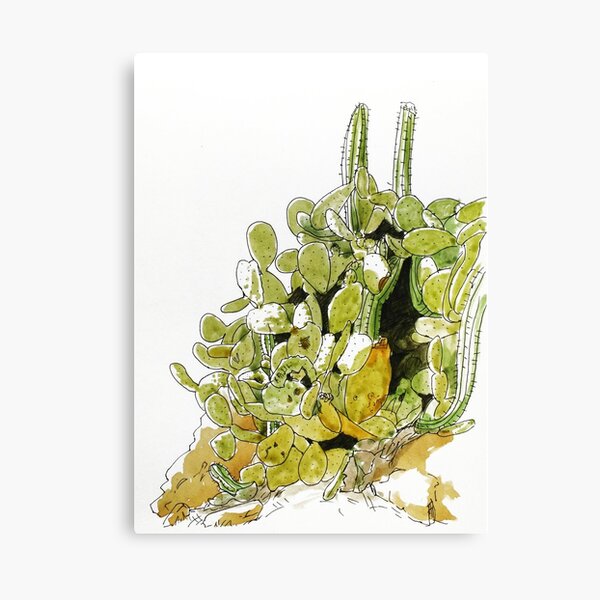 Dessin cactus aquarelle Impression sur toile