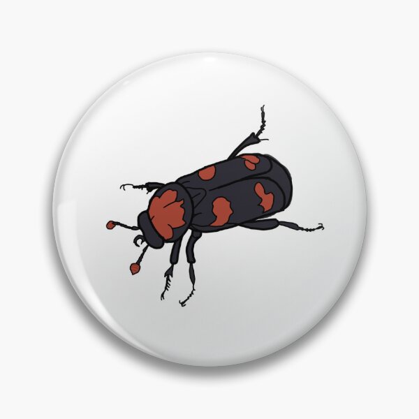 Item preview, American Burying Beetle (Endangered Series) designed and sold by Peekafish.