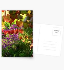 AUTUM LEAF'S Postcards