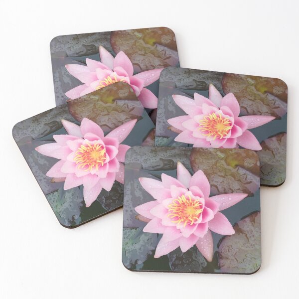 Item preview, Single pink waterlily photograph  designed and sold by esvb.