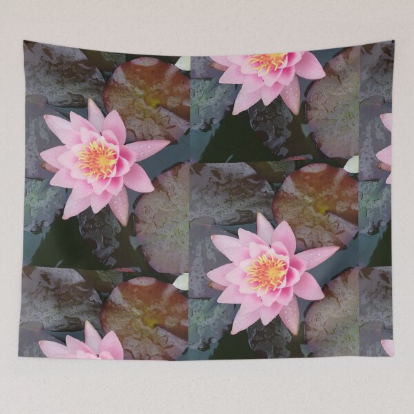 Item preview, Single pink waterlily photograph  designed and sold by esvb.