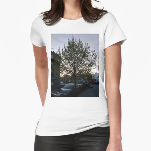 Happiness, Building, Skyscraper, New York, Manhattan, Street, Pedestrians, Cars, Towers, morning, trees, subway, station, Spring, flowers, Brooklyn Fitted T-Shirt