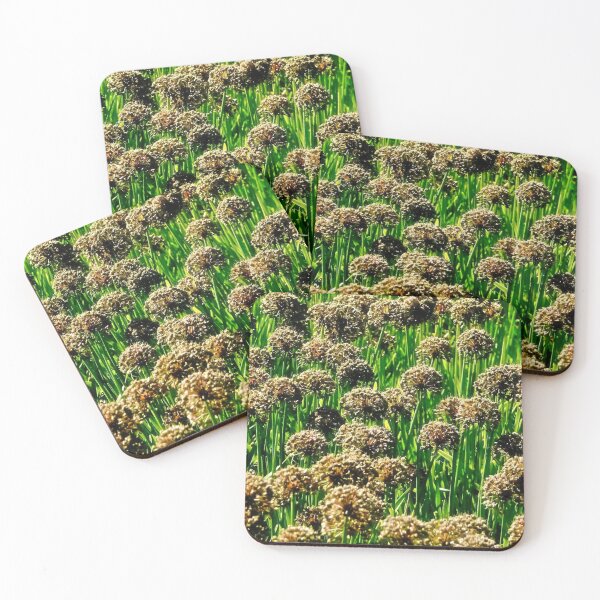 Item preview, the field designed and sold by Photomainia.