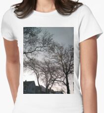 Happiness, Building, Skyscraper, New York, Manhattan, Street, Pedestrians, Cars, Towers, morning, trees, subway, station, Spring, flowers, Brooklyn Women's Fitted T-Shirt